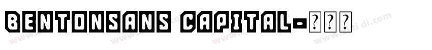 BENTONSANS CAPITAL字体转换